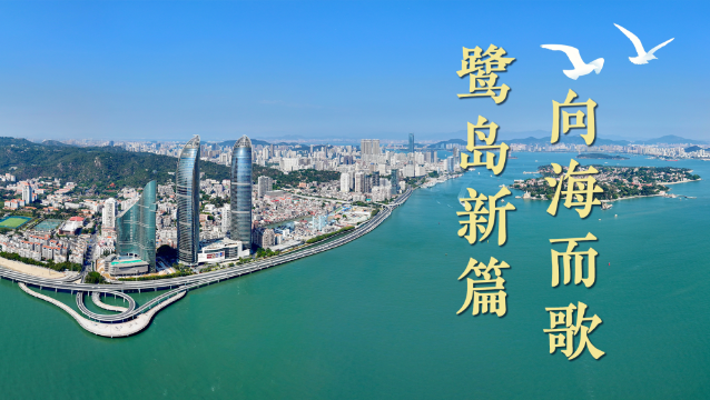 微视频｜鹭岛新篇 向海而歌